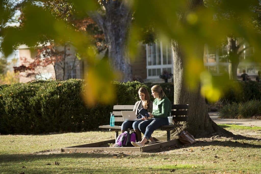 Two students sitting on a bench off in the distance.