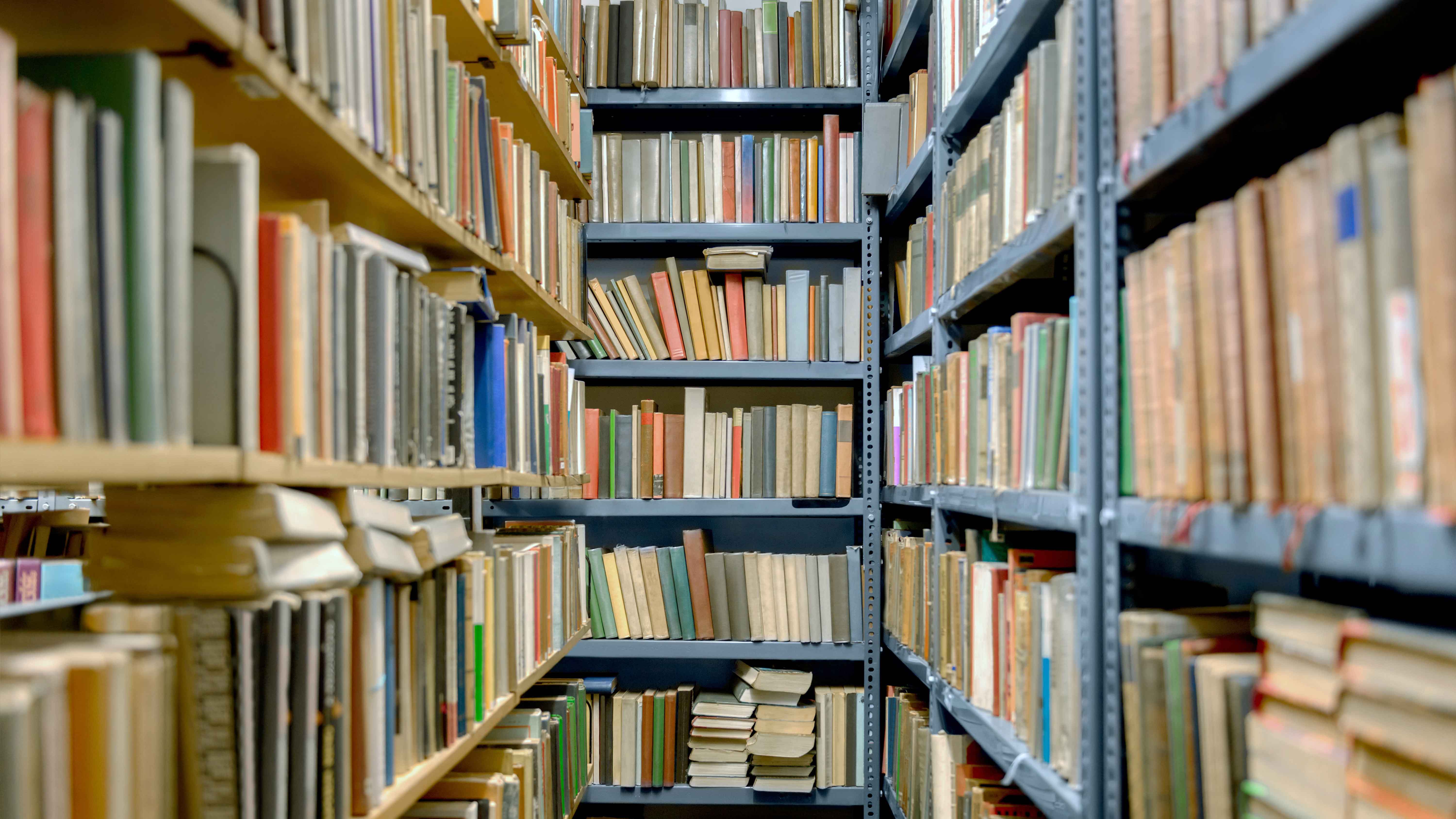 Many books filling the bookshelves of Volume One.