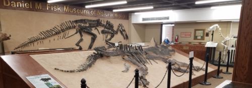 Daniel M. Fisk Museum of Natural History with Dinosaur Bones