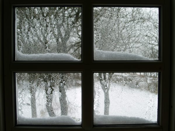 Window in winter